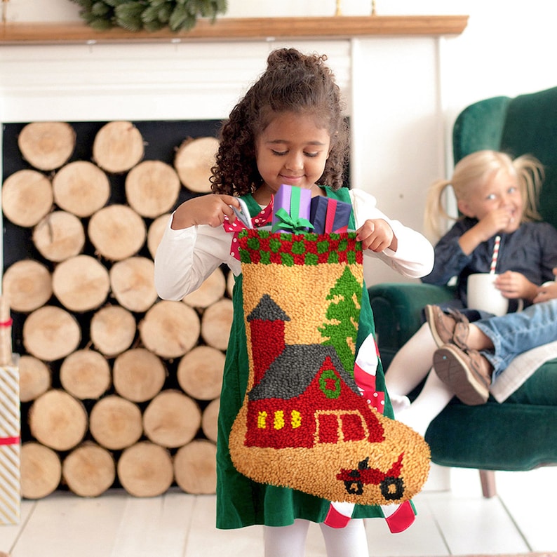 Bird Christmas Stocking DIY Latch Hook Kits for Beginners