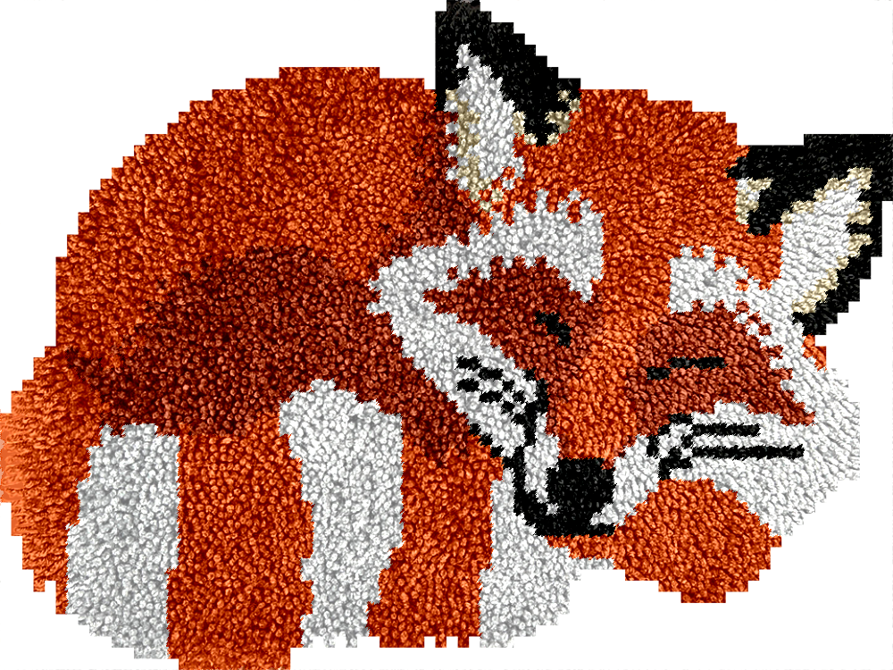 Fox - Kits de crochets pour tapis pour débutants